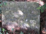 image of grave number 365877